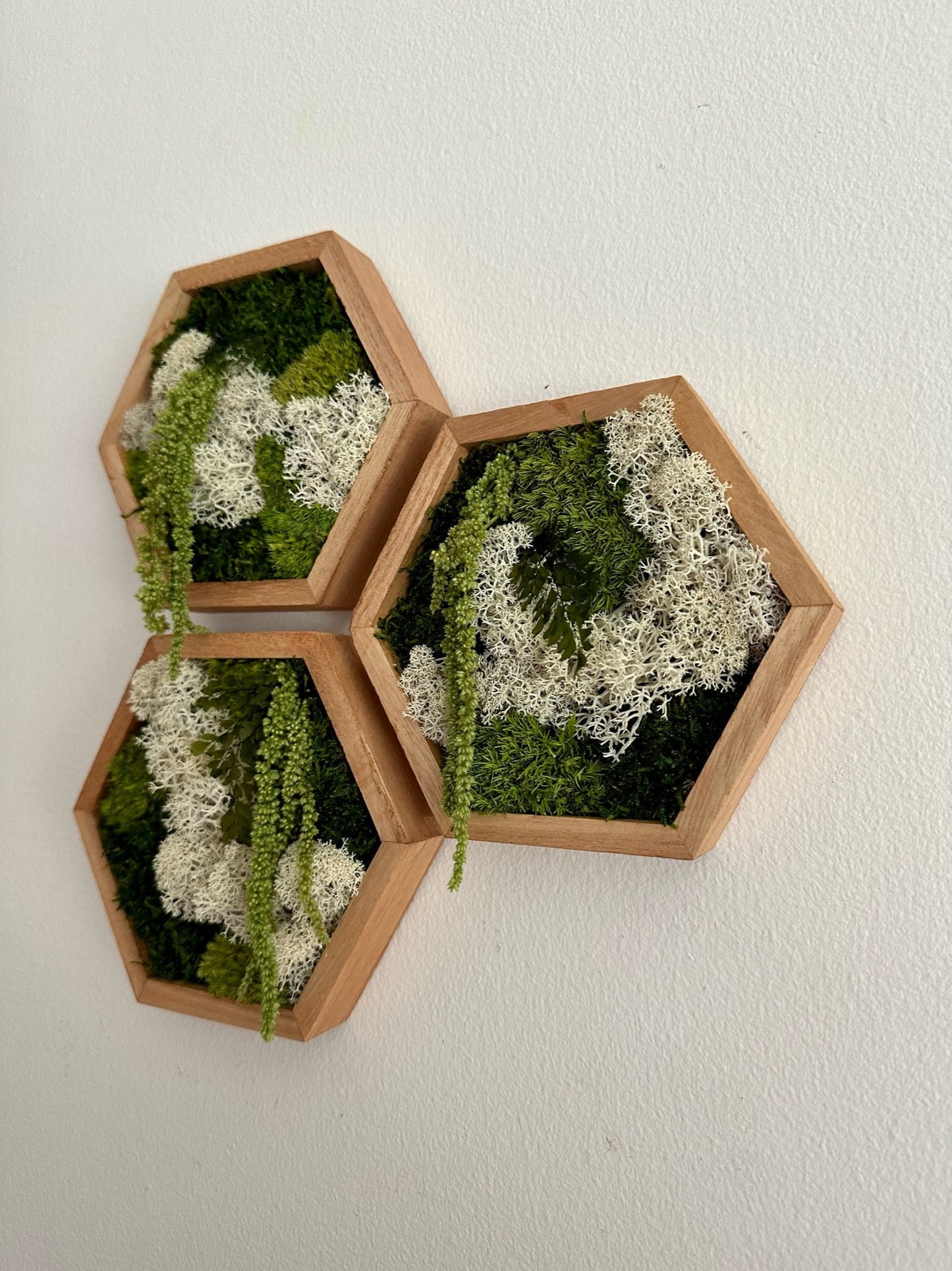 Moss Wall Art | Honeycomb Moss Single to Set of Twelve | Wood Hexagon | Reindeer, Pole, Sheet Moss Amaranthus | Moss Wall Art | Unique Gift