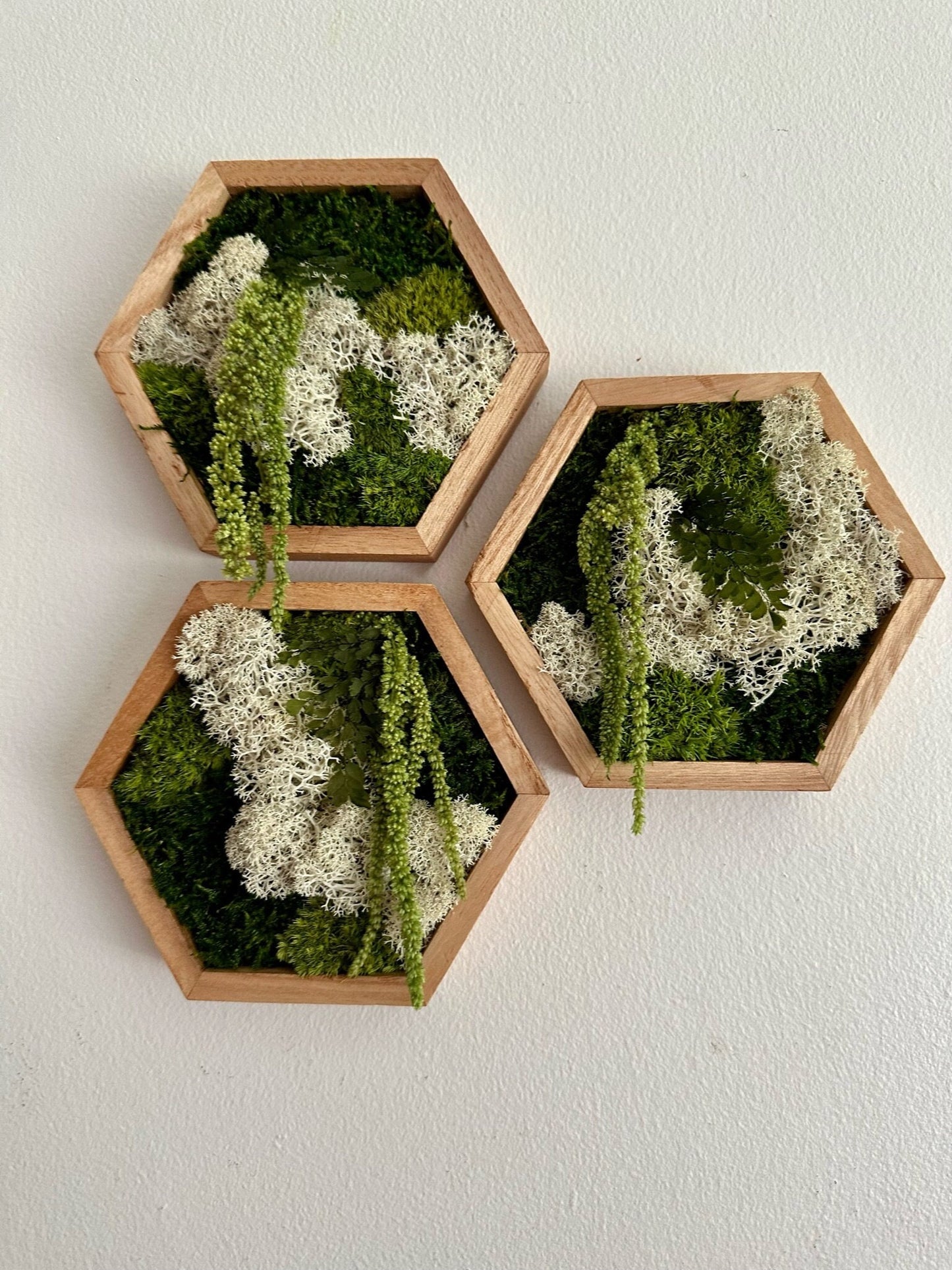 Moss Wall Art | Honeycomb Moss Single to Set of Twelve | Wood Hexagon | Reindeer, Pole, Sheet Moss Amaranthus | Moss Wall Art | Unique Gift