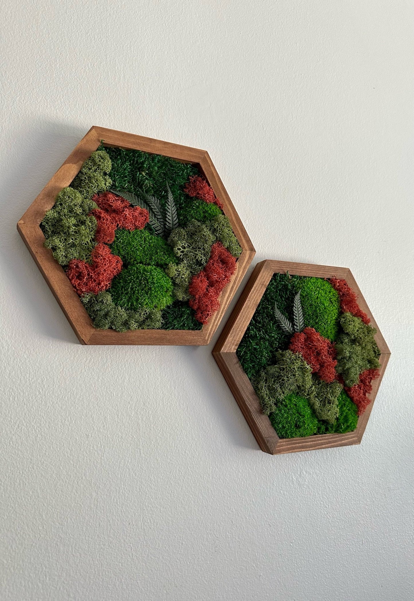 Moss Wall Art Decor - Single Set to Six (10" x 11.6" or 8" x 9.6") | Preserved Lichen, Pole & Sheet Moss with Fern