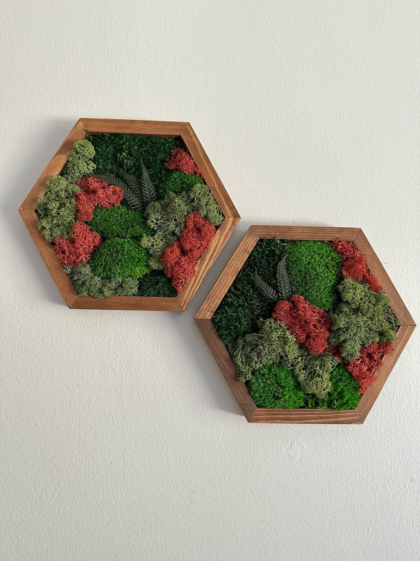 Moss Wall Art Decor - Single Set to Six (10" x 11.6" or 8" x 9.6") | Preserved Lichen, Pole & Sheet Moss with Fern