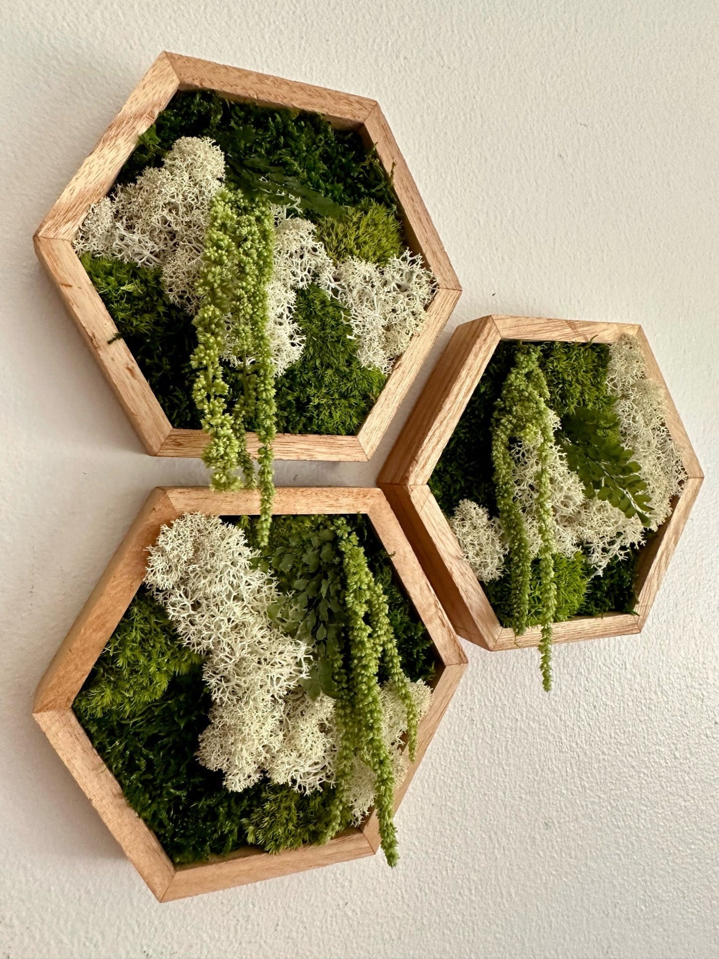 Moss Wall Art | Honeycomb Moss Single to Set of Twelve | Wood Hexagon | Reindeer, Pole, Sheet Moss Amaranthus | Moss Wall Art | Unique Gift