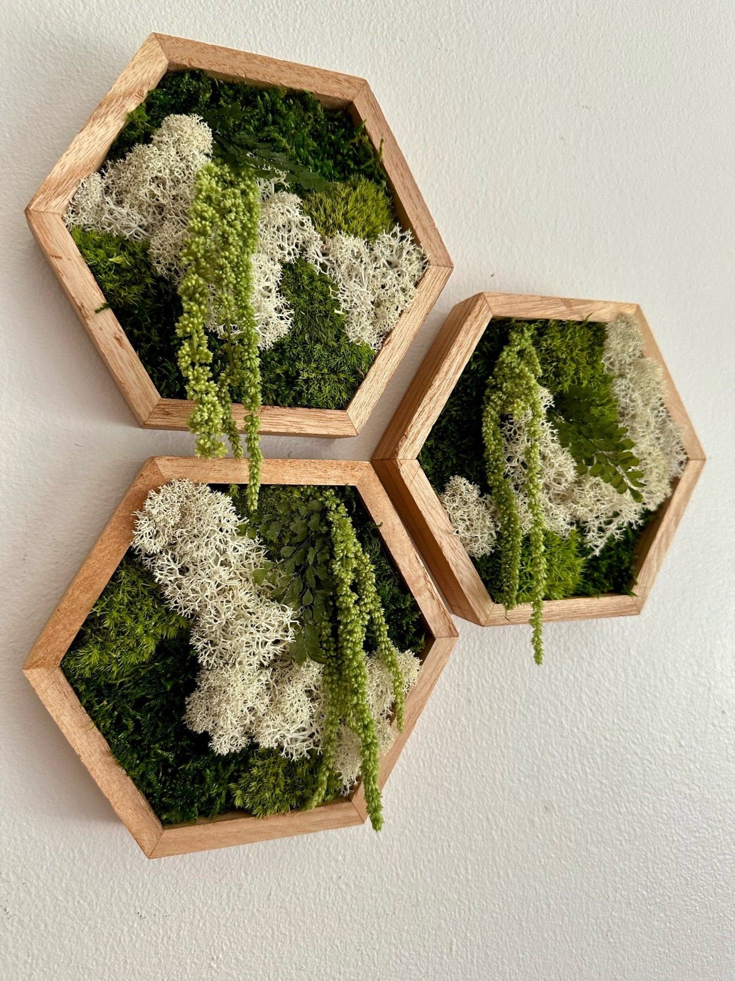Moss Wall Art | Honeycomb Moss Single to Set of Twelve | Wood Hexagon | Reindeer, Pole, Sheet Moss Amaranthus | Moss Wall Art | Unique Gift