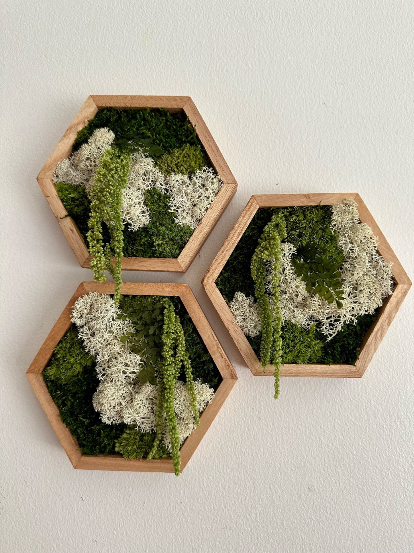 Moss Wall Art | Honeycomb Moss Single to Set of Twelve | Wood Hexagon | Reindeer, Pole, Sheet Moss Amaranthus | Moss Wall Art | Unique Gift
