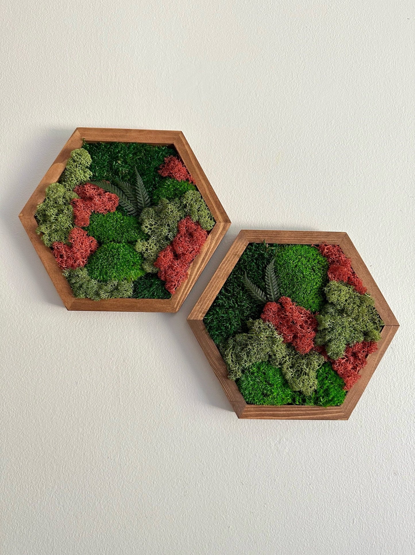 Moss Wall Art Decor - Single Set to Six (10" x 11.6" or 8" x 9.6") | Preserved Lichen, Pole & Sheet Moss with Fern
