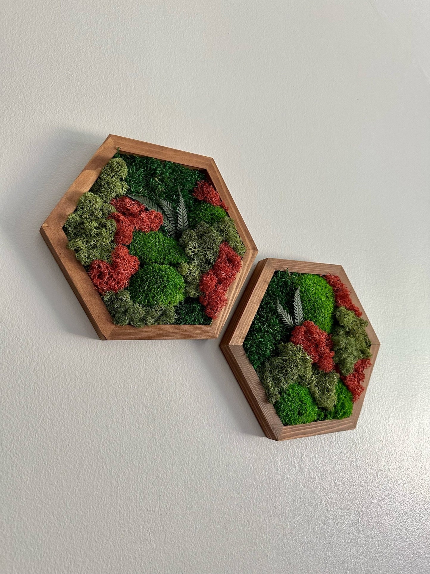 Moss Wall Art Decor - Single Set to Six (10" x 11.6" or 8" x 9.6") | Preserved Lichen, Pole & Sheet Moss with Fern