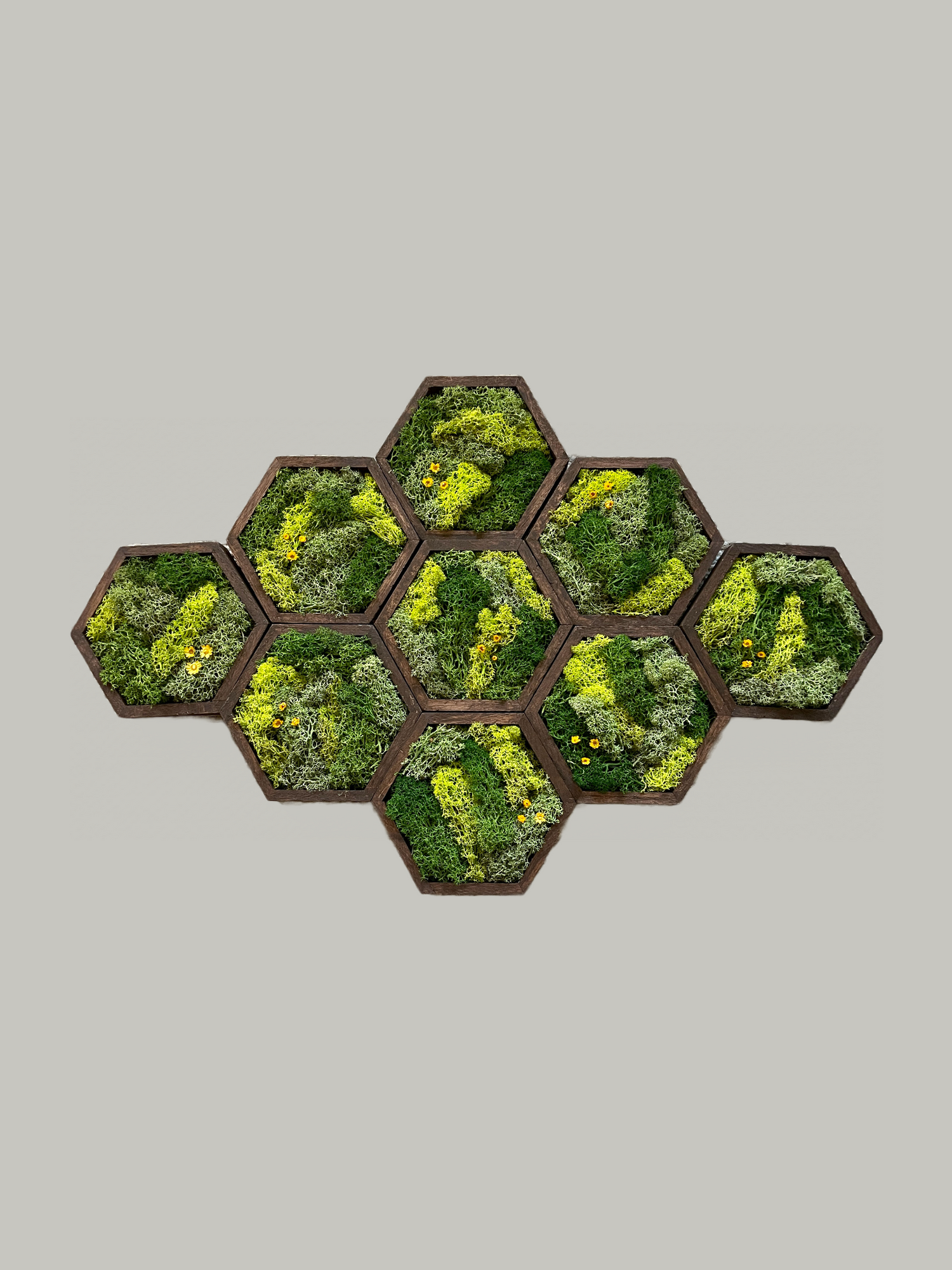 Hexagon Sets