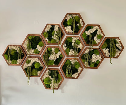 Hexagon Frame - 10” x 11.6” - Sheet, Pole and Reindeer Moss with Light Green Amaranthus