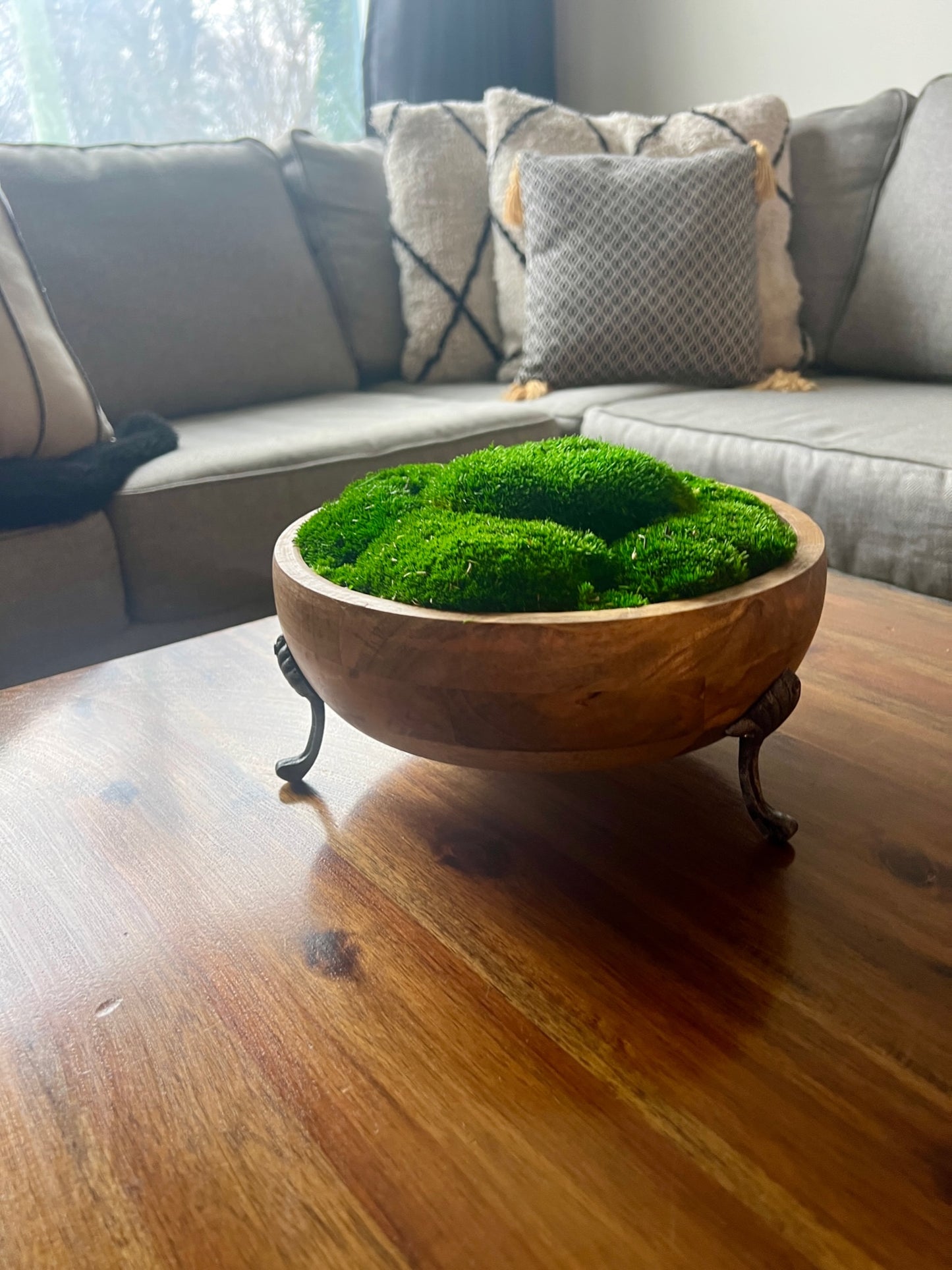 Moss Centerpiece | Pole Moss | Moss Planter | Preserved Moss Gift  | Olive Wood Nature Bowl | One of a Kind | Green Pole Moss | Gift