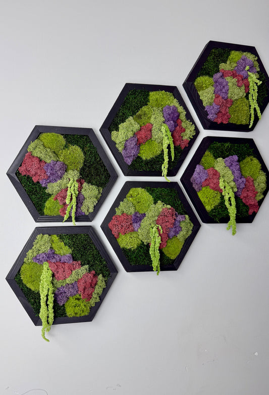 Reindeer Moss Wall Art: Hexagon Wood Frame, Preserved Nature Decor | USA - TARIFF FREE (Copy)