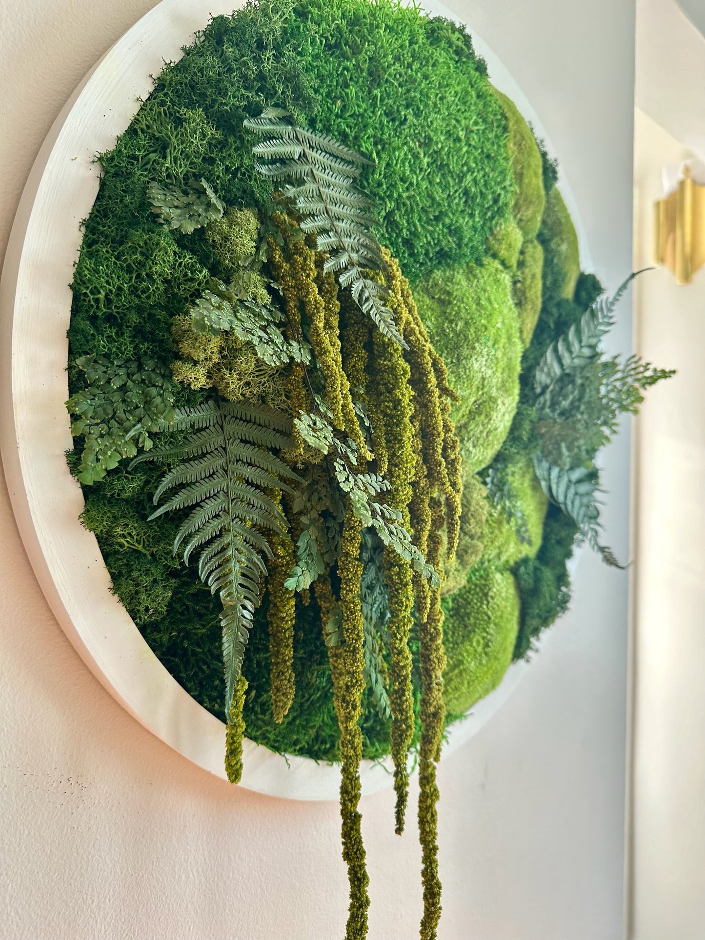 Moss Wall Art Circle 20 Inch | Preserved Moss Art Framed | Moss Wall Decor