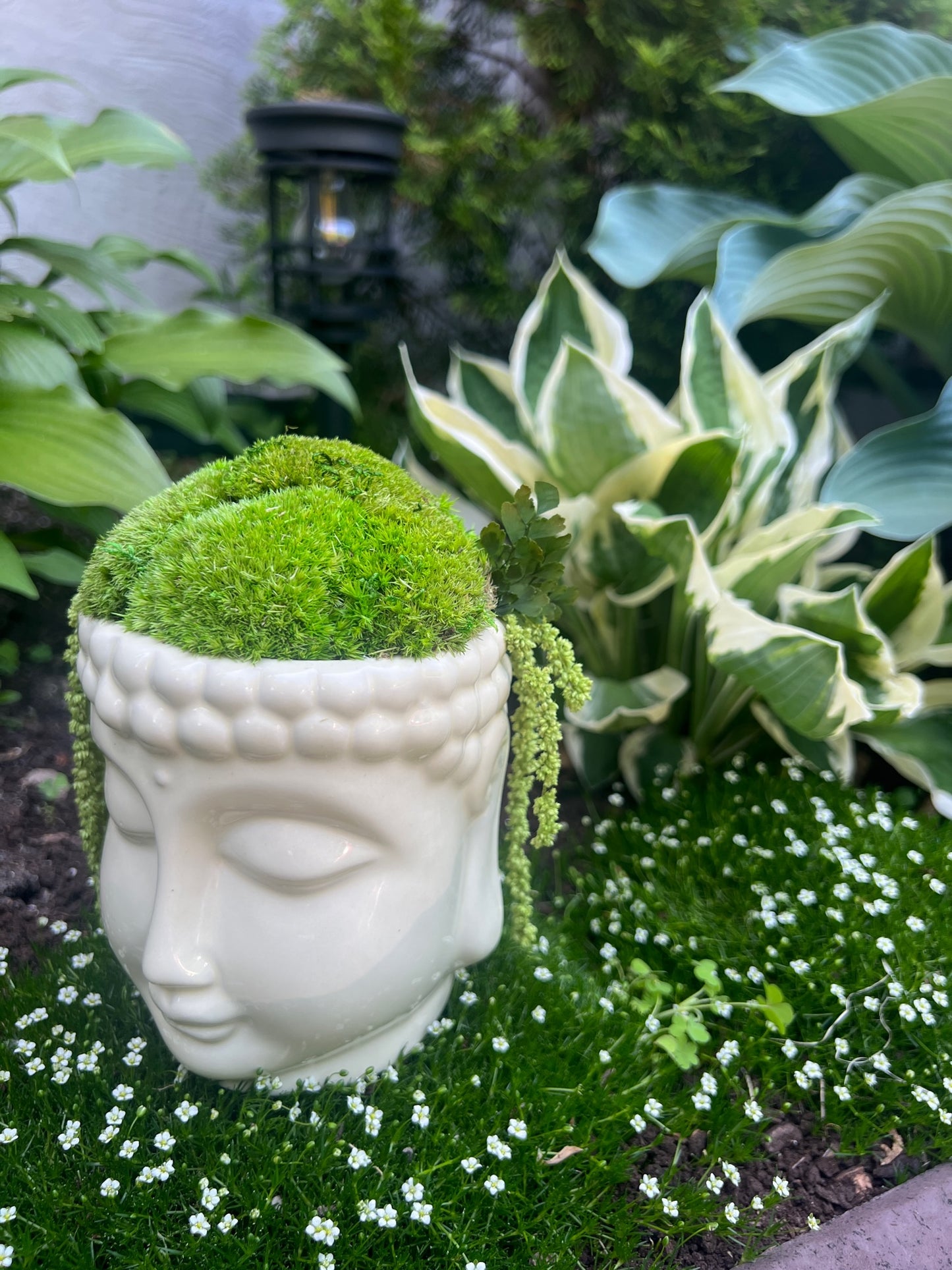 Moss Centerpiece Buddha Bowl | Pole Moss | Preserved Fern | Ceramic Centrepiece Bowl | Gift | Wedding Centrepiece