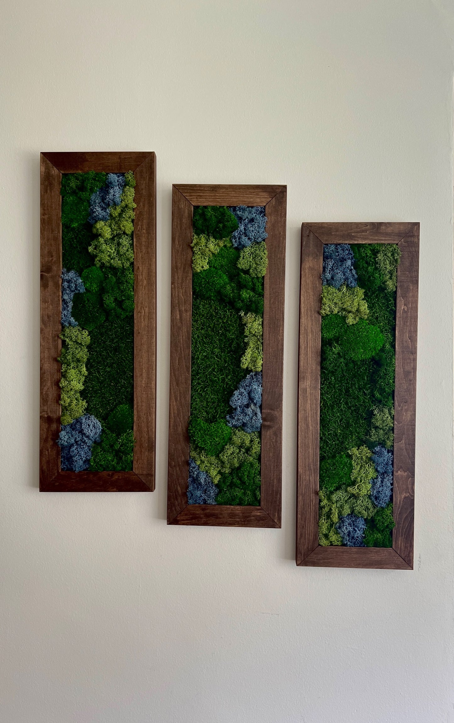 Moss Wall Art | Preserved Moss Art Framed | Moss Wall Decor | Moss Wall Sets | Large Rectangle Single to Six Set | Reindeer Moss Pole Moss