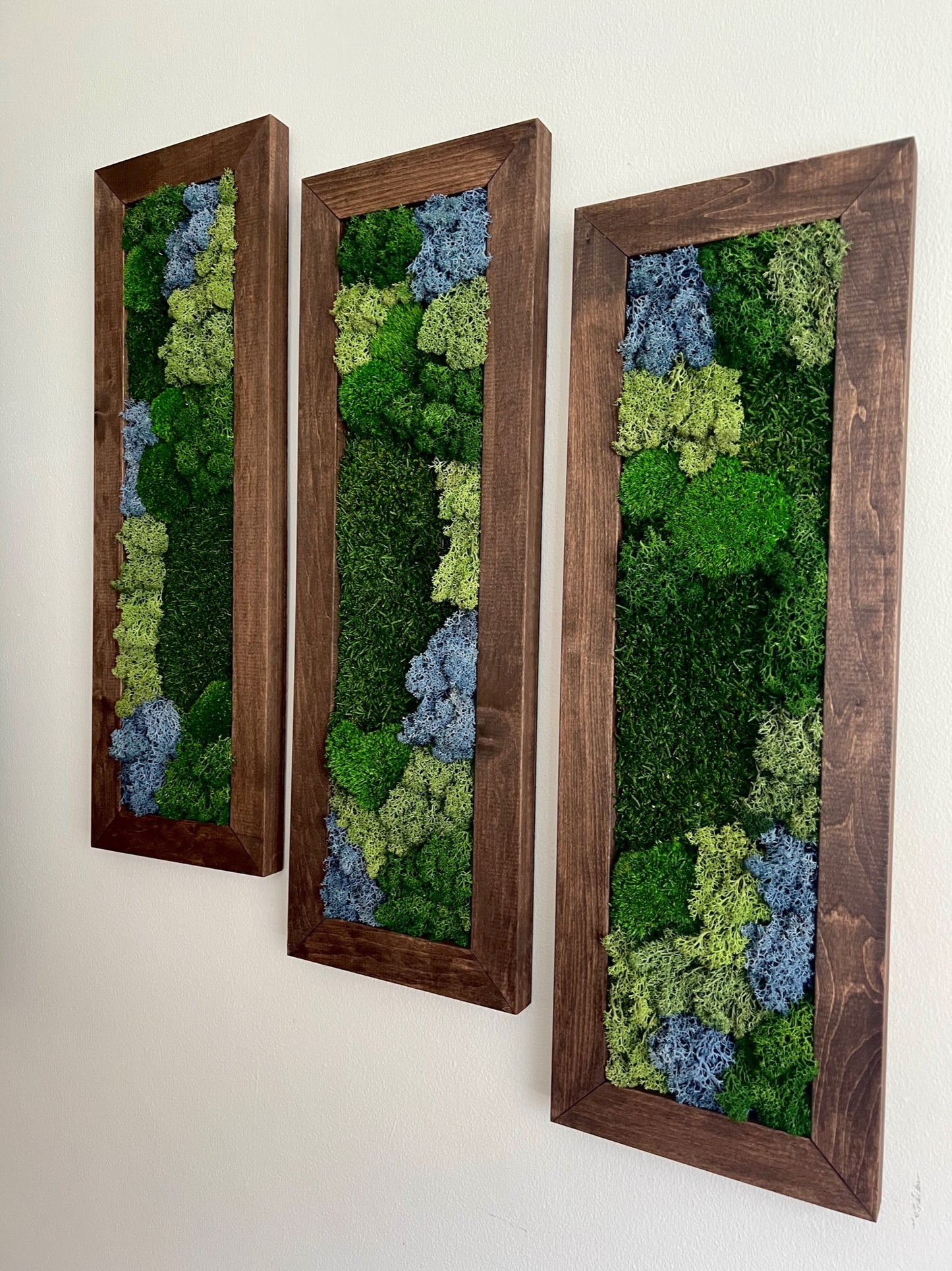 Moss Wall Art | Preserved Moss Art Framed | Moss Wall Decor | Moss Wall Sets | Large Rectangle Single to Six Set | Reindeer Moss Pole Moss