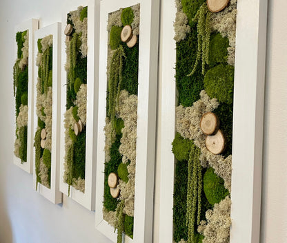 Moss Wall Art | Preserved Moss Art Framed | Moss Wall Decor | Moss Wall Sets | Large Rectangle Single to Six Set | Reindeer Moss Pole Moss