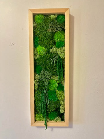 Moss Wall Art | Preserved Moss Art Framed | Moss Wall Decor | Moss Wall Sets | Large Rectangle Single to Six Set | Reindeer Moss Pole Moss