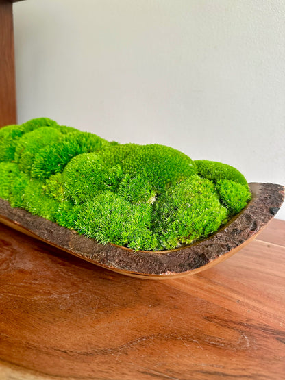 Moss Centerpiece Large | Pole Moss | Moss Planter | Preserved Moss Gift  | Wood Nature Bowl | Green Pole Moss | Gift | Wedding