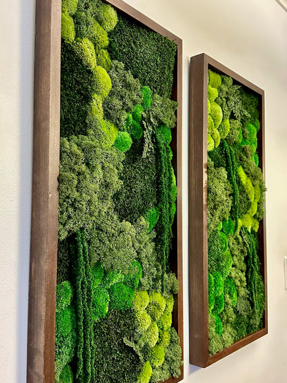 Long Rectangle Preserved Moss Decor - 15" by 30" - Pole & Reindeer Moss