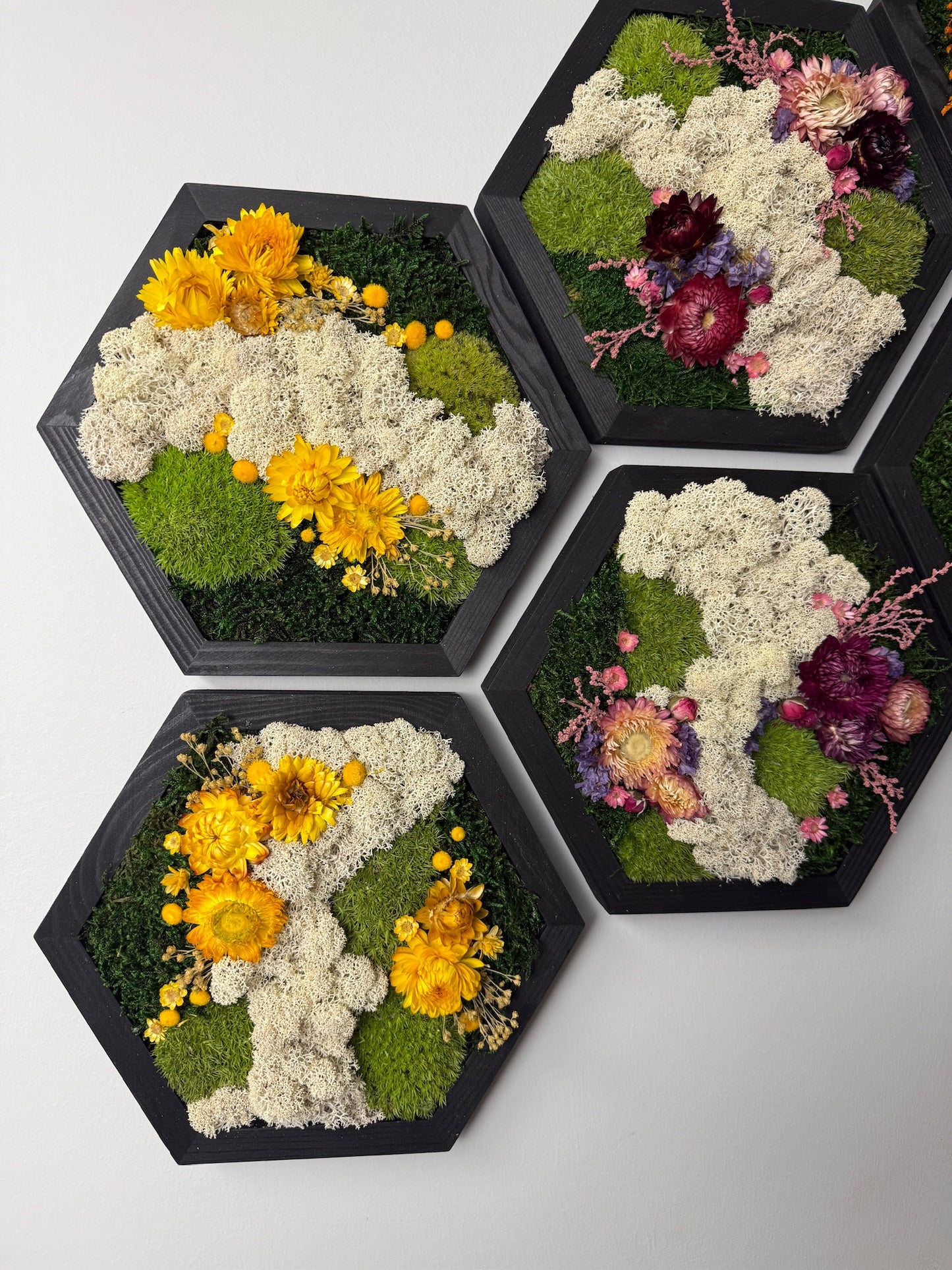 Honeycomb Moss Wall Art: Wood Hexagon Frame, Reindeer Moss & Flowers | USA - TARIFF FREE