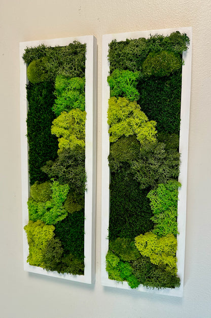 Long Rectangle Preserved Moss Decor - 18" by 5" - Pole & Reindeer Moss