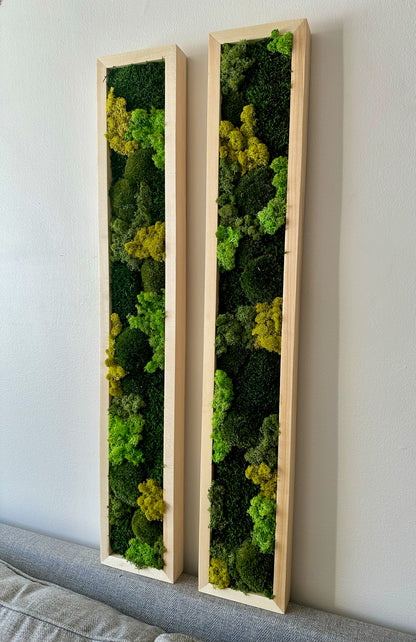 Long Rectangle Preserved Moss Decor -6” x 36” - Pole & Reindeer Moss