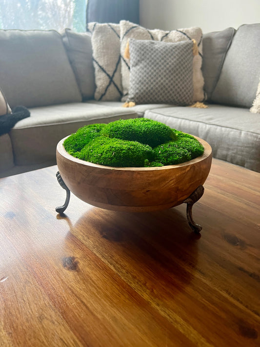 Moss Centerpiece | Pole Moss | Moss Planter | Preserved Moss Gift  | Olive Wood Nature Bowl | One of a Kind | Green Pole Moss | Gift