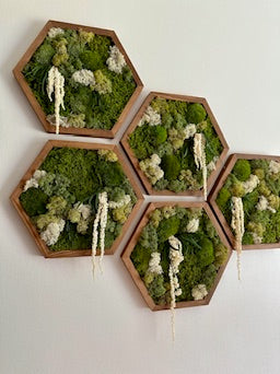 Moss Wall Art Decor | Single Set to Six (10" x 11.6" or 8" x 9.6") | Preserved Lichen, Pole and Sheet Moss & Fern