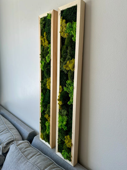 Long Rectangle Preserved Moss Decor -6” x 36” - Pole & Reindeer Moss