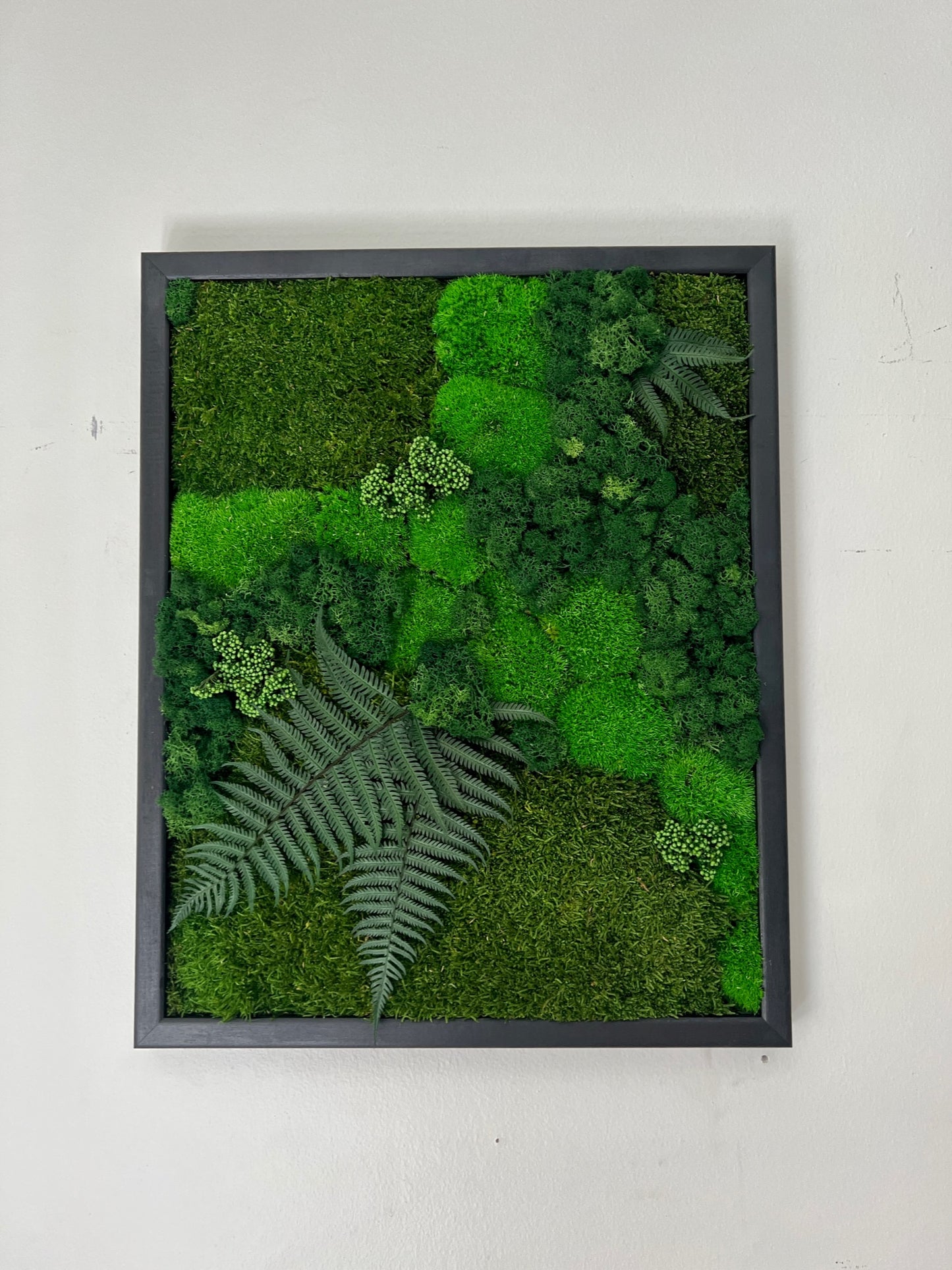 Moss Wall Art | Preserved Moss Framed 16 by 20 Inches | Moss Wall Decor | Pole Moss Sheet Moss and Fern with Reindeer Moss