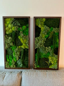 Long Rectangle Preserved Moss Decor - 15" by 30" - Pole & Reindeer Moss