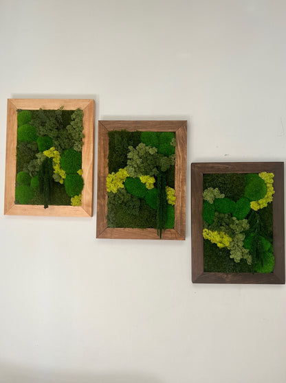 Moss Art - 12 x 16 Inches - Shades of Green Reindeer, Pole & Mood Moss