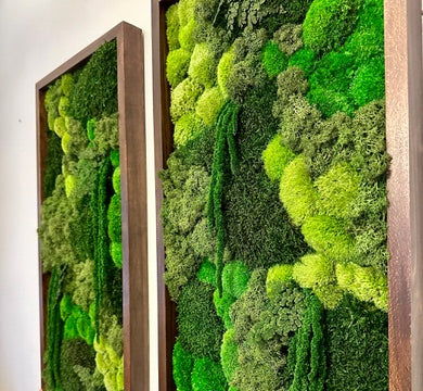 Long Rectangle Preserved Moss Decor - 15" by 30" - Pole & Reindeer Moss