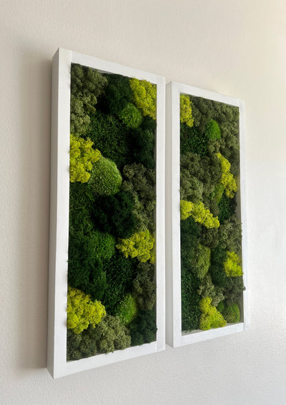 Moss Wall Art | Preserved Moss Art Framed | Moss Wall Decor | Moss Wall Sets | Large Rectangle Single to Six Set | Reindeer Moss Pole Moss