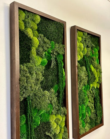 Long Rectangle Preserved Moss Decor - 15" by 30" - Pole & Reindeer Moss