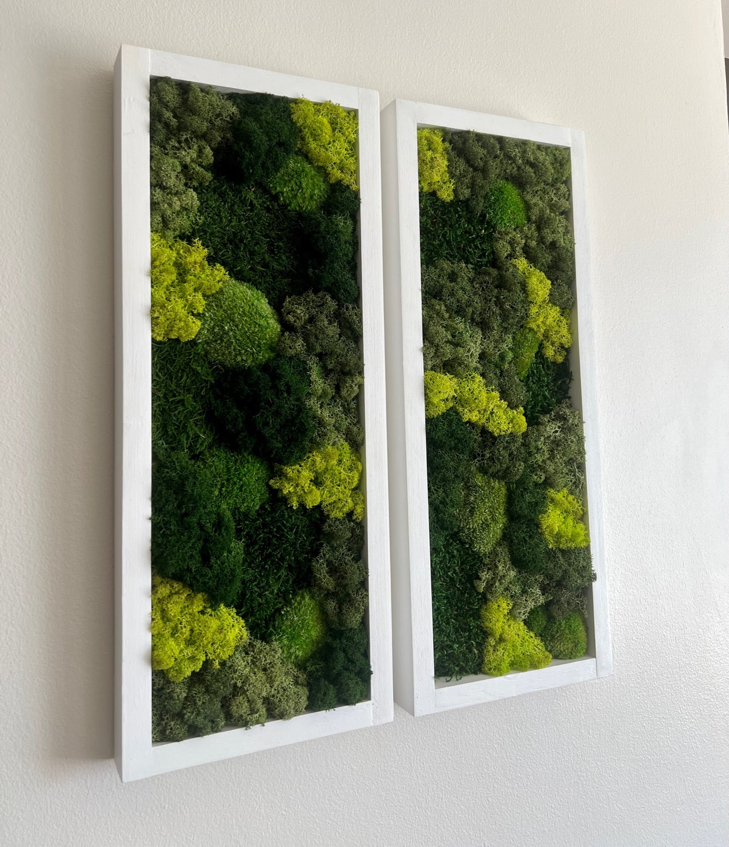 Moss Wall Art | Preserved Moss Art Framed | Moss Wall Decor | Moss Wall Sets | Large Rectangle Single to Six Set | Reindeer Moss Pole Moss