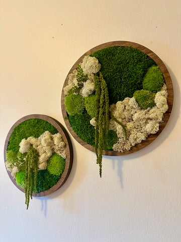 Moss Wall Art Circle | Preserved Moss Art Framed | Moss Wall Decor | Single or Set of 2 | Reindeer & Sheet Moss | Unique Gift | Wedding