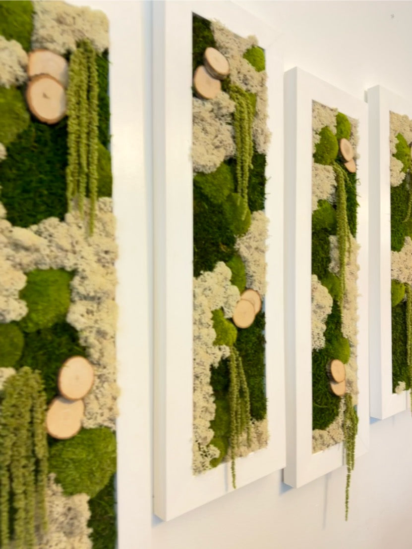 Moss Wall Art | Preserved Moss Art Framed | Moss Wall Decor | Moss Wall Sets | Large Rectangle Single to Six Set | Reindeer Moss Pole Moss