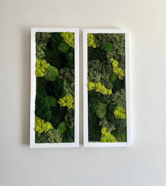 Moss Wall Art | Preserved Moss Art Framed | Moss Wall Decor | Moss Wall Sets | Large Rectangle Single to Six Set | Reindeer Moss Pole Moss