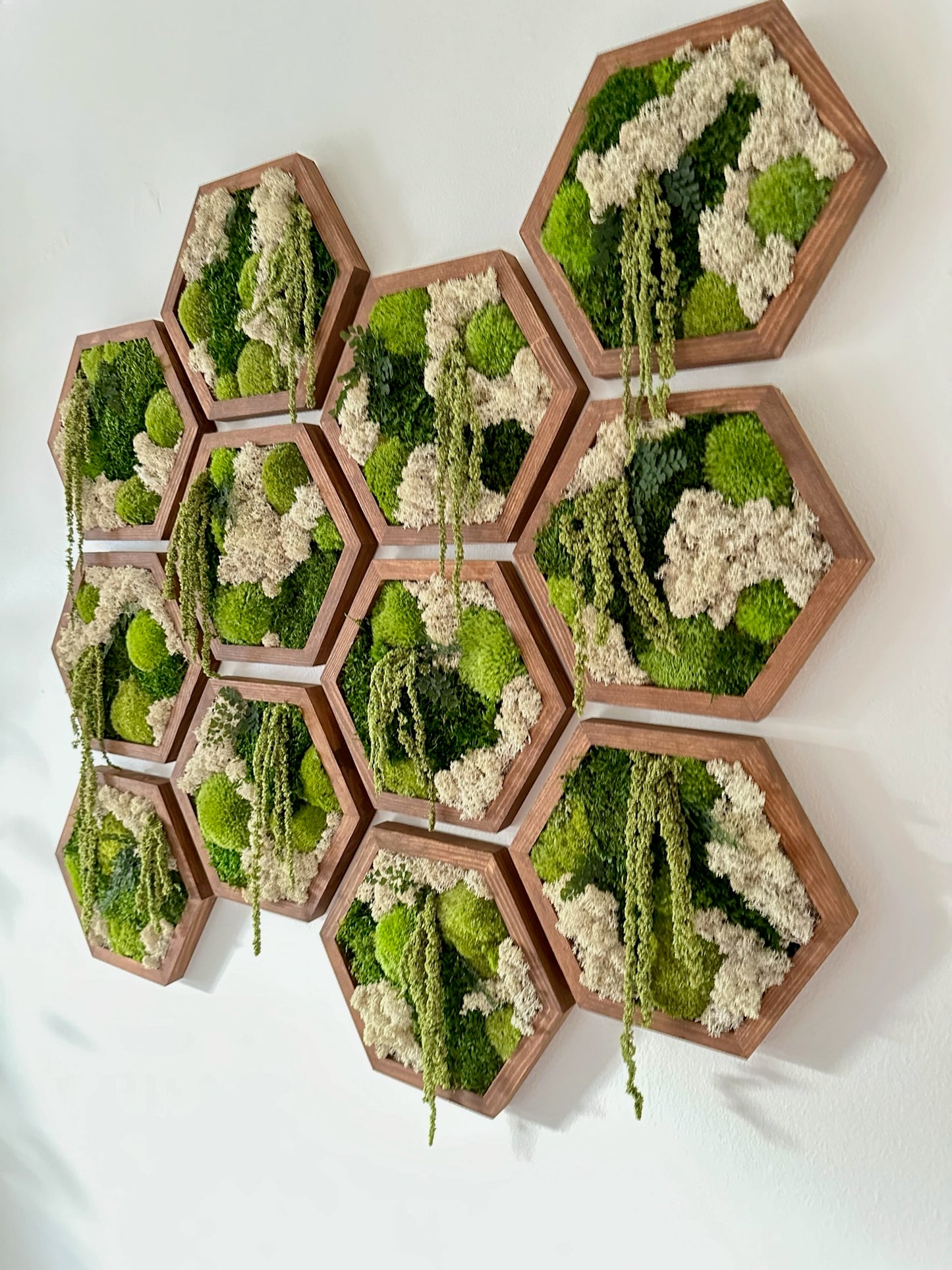 Hexagon Frame - 10” x 11.6” - Sheet, Pole and Reindeer Moss with Light Green Amaranthus