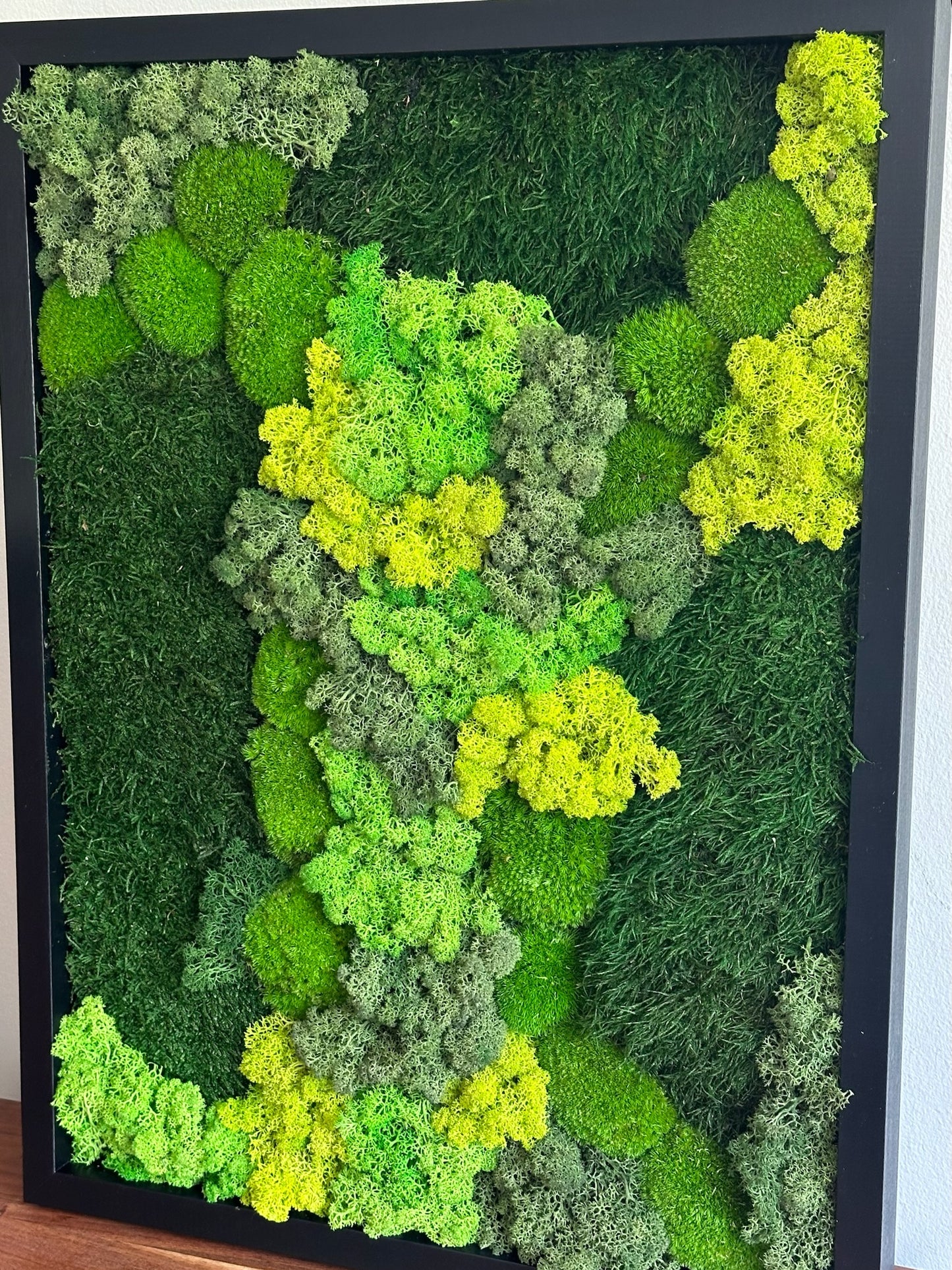 Moss Wall Art | Preserved Moss Framed 18 by 24 Inches | Moss Wall Decor | Pole Moss Sheet Moss and Fern with Reindeer Moss