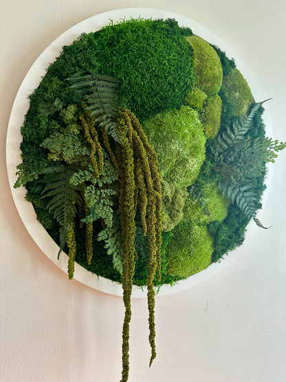 Moss Wall Art Circle 20 Inch | Preserved Moss Art Framed | Moss Wall Decor