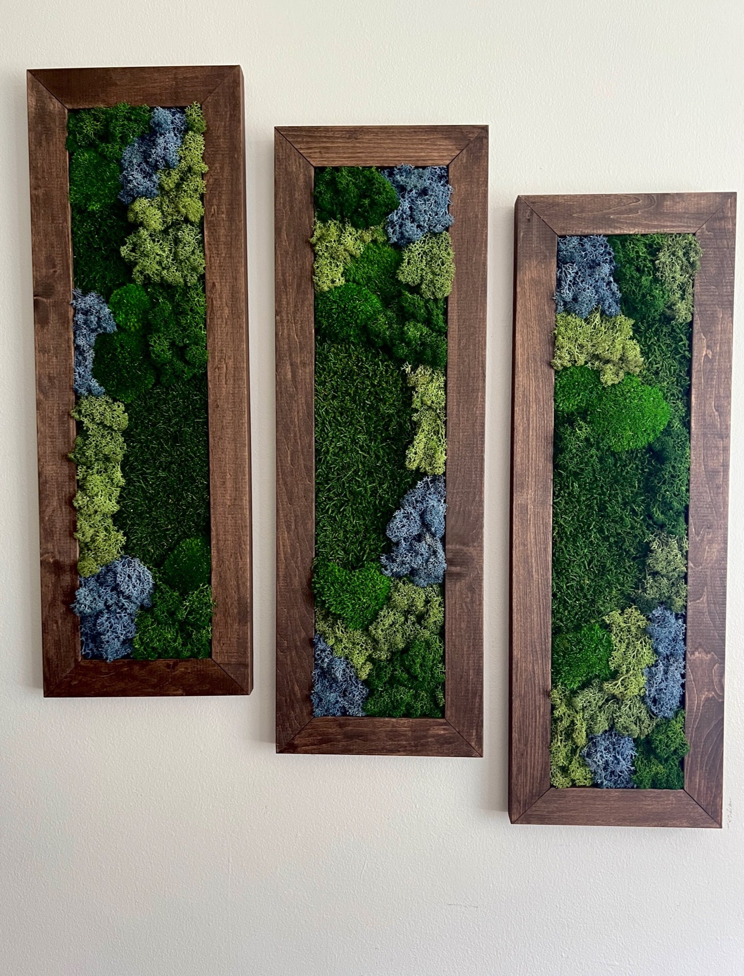 Moss Wall Art | Preserved Moss Art Framed | Moss Wall Decor | Moss Wall Sets | Large Rectangle Single to Six Set | Reindeer Moss Pole Moss