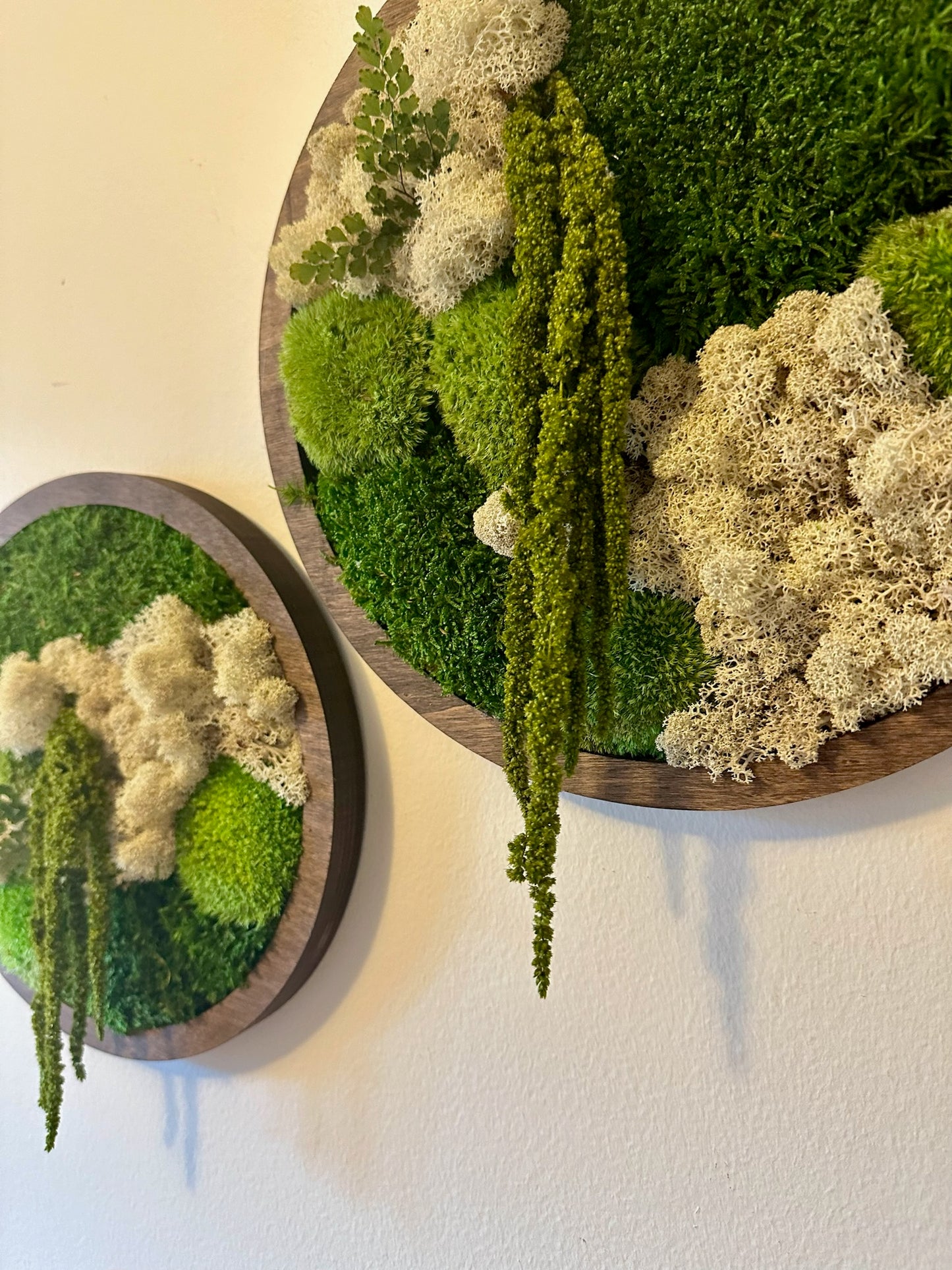 Moss Wall Art Circle | Preserved Moss Art Framed | Moss Wall Decor | Single or Set of 2 | Reindeer & Sheet Moss | Unique Gift | Wedding