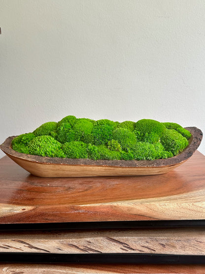 Moss Centerpiece Large | Pole Moss | Moss Planter | Preserved Moss Gift  | Wood Nature Bowl | Green Pole Moss | Gift | Wedding