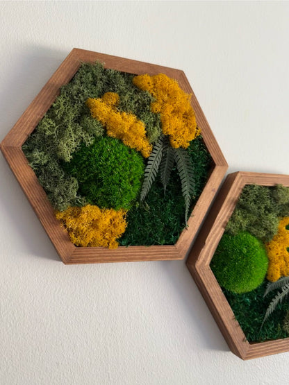 Moss Wall Art Decor | Single Set to Six (10" x 11.6" or 8" x 9.6") | Preserved Lichen, Pole and Sheet Moss & Fern | Yellow