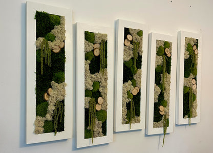 Moss Wall Art | Preserved Moss Art Framed | Moss Wall Decor | Moss Wall Sets | Large Rectangle Single to Six Set | Reindeer Moss Pole Moss