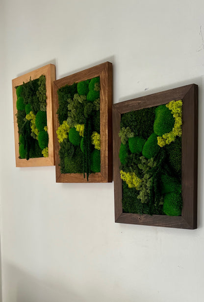 Moss Art - 12 x 16 Inches - Shades of Green Reindeer, Pole & Mood Moss