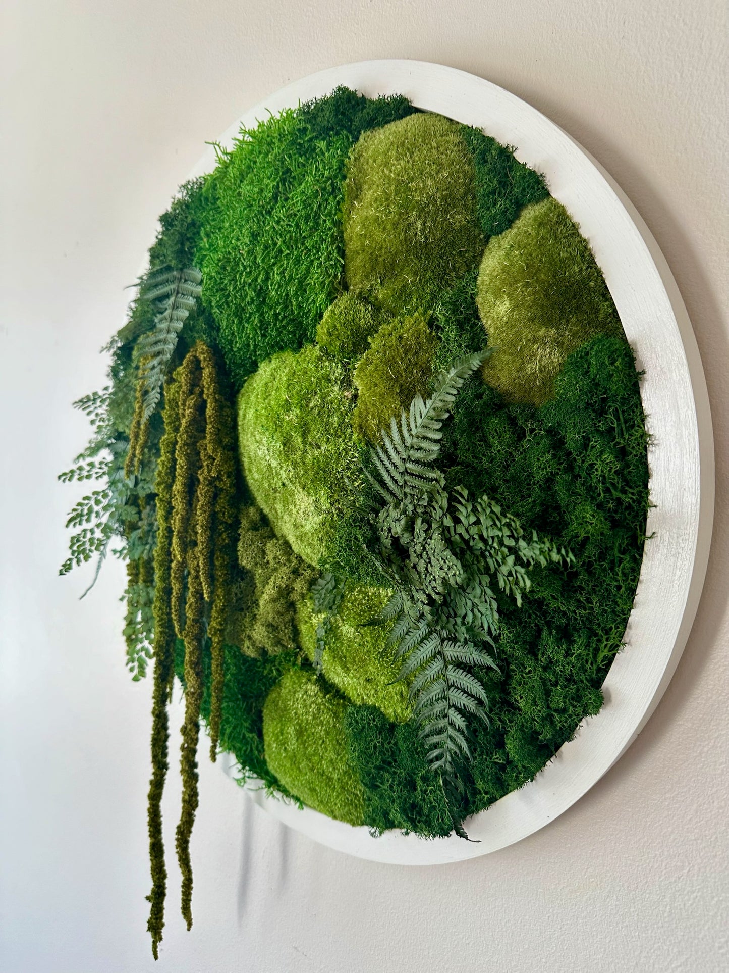 Moss Wall Art Circle 20 Inch | Preserved Moss Art Framed | Moss Wall Decor