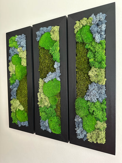 Moss Wall Art | Preserved Moss Art Framed | Moss Wall Decor | Moss Wall Sets | Large Rectangle Single to Six Set | Reindeer Moss Pole Moss