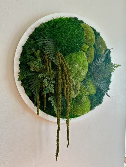 Moss Wall Art Circle 20 Inch | Preserved Moss Art Framed | Moss Wall Decor