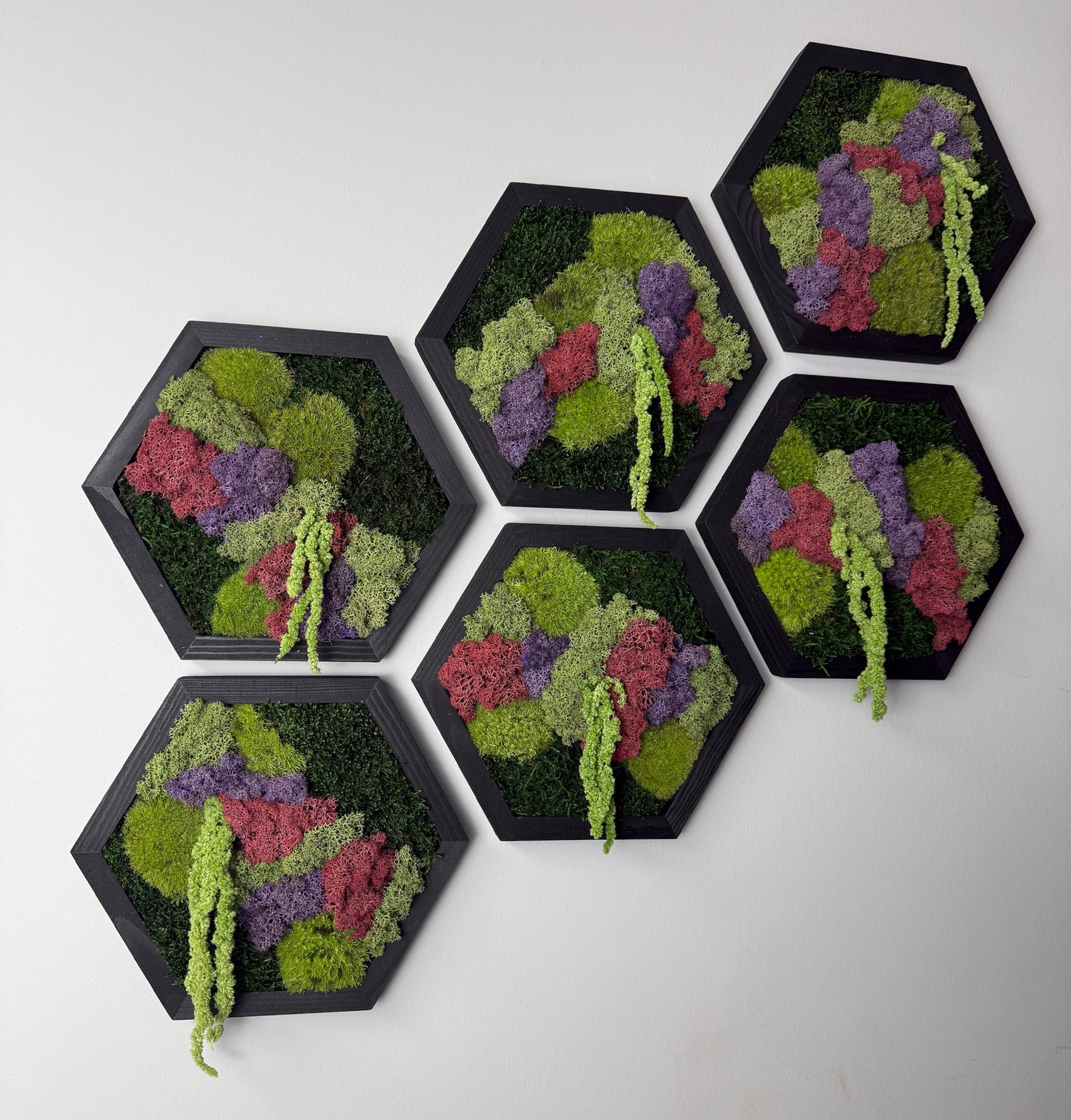 Reindeer Moss Wall Art: Hexagon Wood Frame, Preserved Nature Decor | USA - TARIFF FREE (Copy)